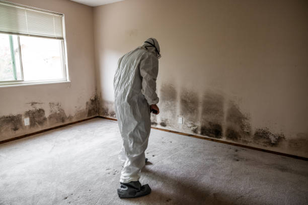 Best Mold Testing  in Lafayette, GA